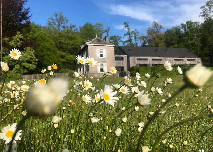 Domaine De L\'Ardoisiere